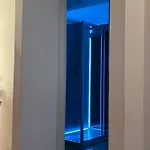 Il Cavalluccio *