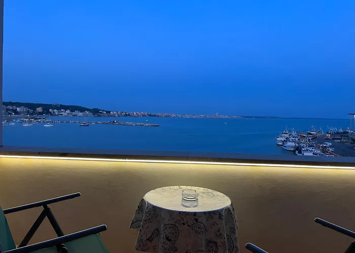 公寓 Il Cavalluccio 安齐奥